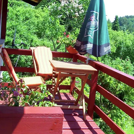 Cozy Holiday In Harz Near Forest Ilfeld